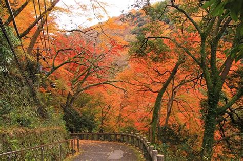 面公園風水